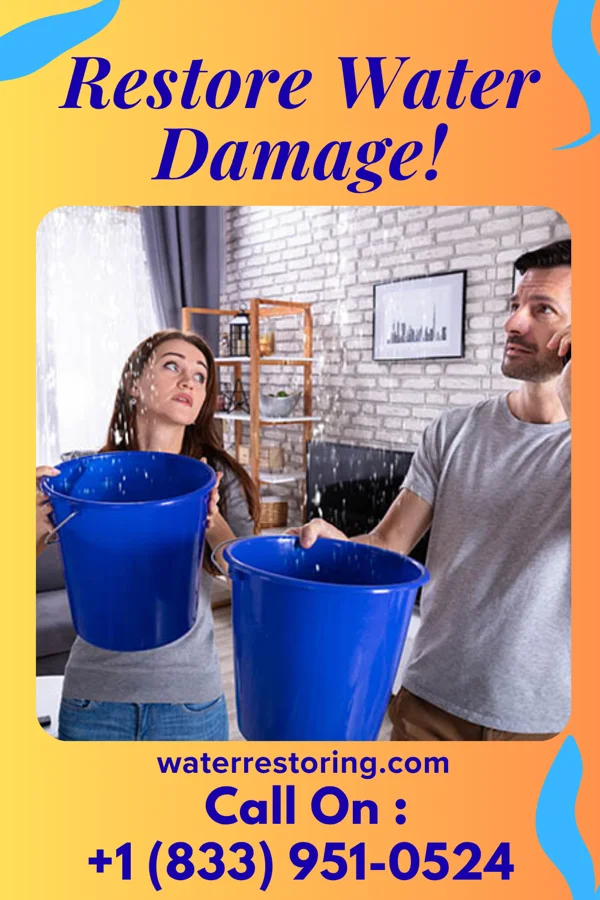 water restoration Best Flood Damage Team Woodson